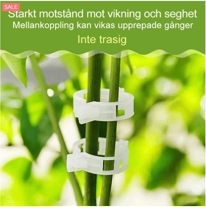 🌱【100/200 szt】 Plastikowy uchwyt podtrzymujący rośliny do pomidorów wiszące kratki winorośli łączące rośliny do szklarni dekoracja ogrodu warzywnego