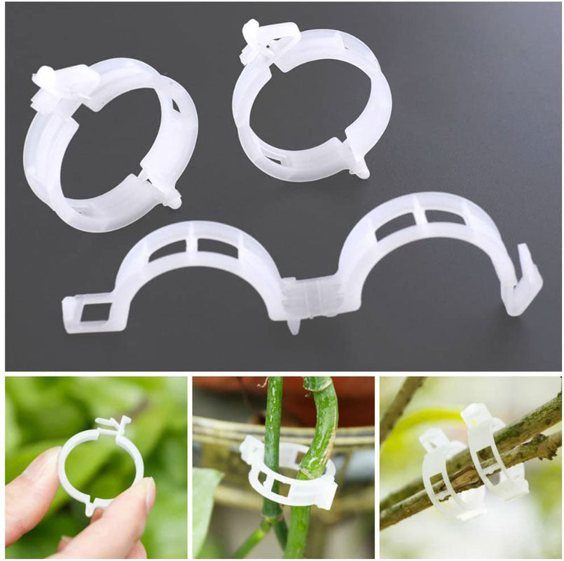 🌱【100/200 szt】 Plastikowy uchwyt podtrzymujący rośliny do pomidorów wiszące kratki winorośli łączące rośliny do szklarni dekoracja ogrodu warzywnego