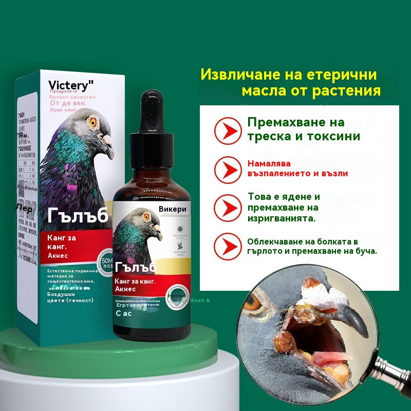 🕊️🕊️Специално лекарство за гнойни инфекции на вируса на шарка на състезателни гълъби, разсейва злото и детоксикира, елиминира акне и разпръсква възли, охлажда кръвта и премахва обриви и облекчава гърлото и отделя гной.