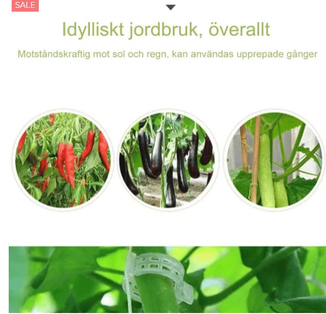🌱【100/200 szt】 Plastikowy uchwyt podtrzymujący rośliny do pomidorów wiszące kratki winorośli łączące rośliny do szklarni dekoracja ogrodu warzywnego