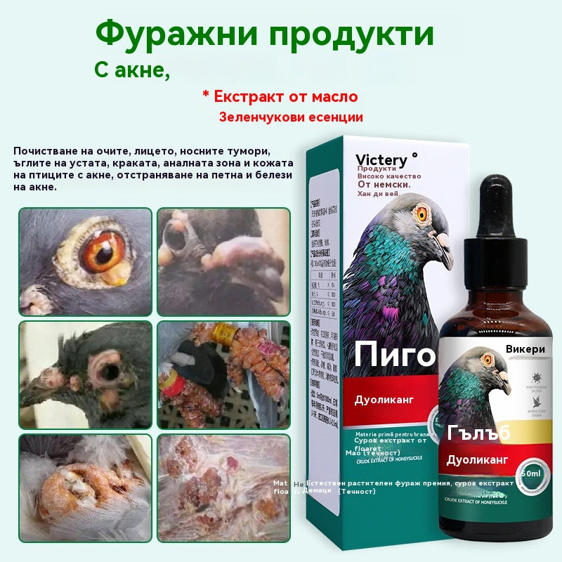 🕊️🕊️Специално лекарство за гнойни инфекции на вируса на шарка на състезателни гълъби, разсейва злото и детоксикира, елиминира акне и разпръсква възли, охлажда кръвта и премахва обриви и облекчава гърлото и отделя гной.