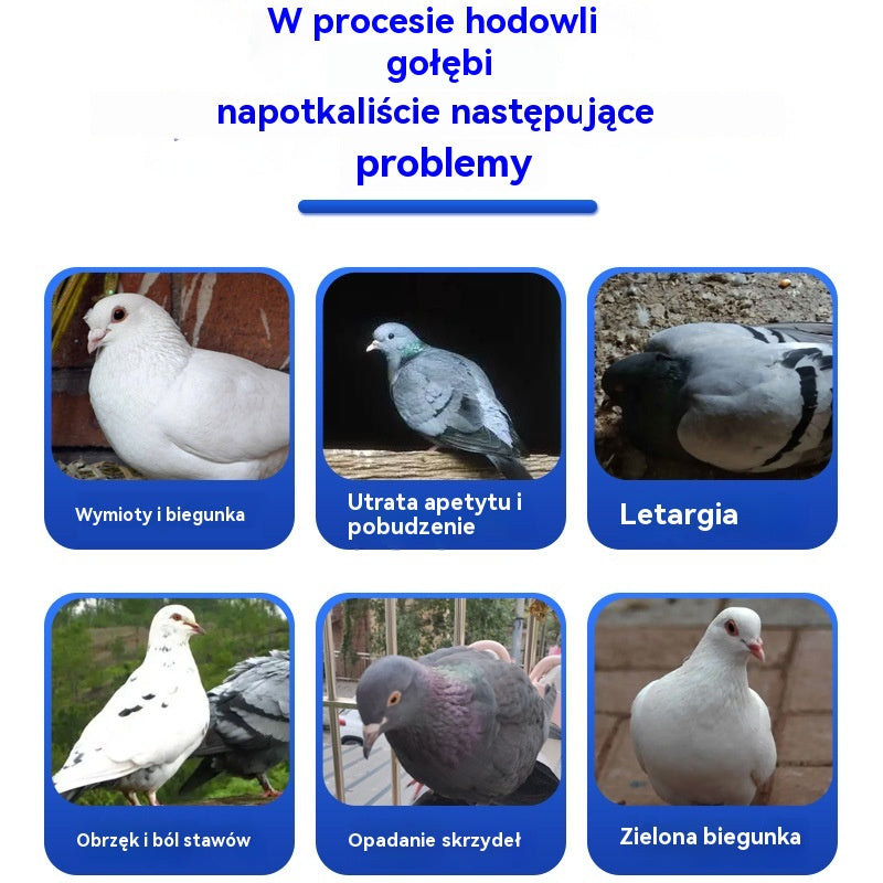 💥Suplementy dla ptaków, odpowiednie dla gołębi, papug i drobiu🔥🕊️Kup jeden, drugi gratis🕊️100 tabletek, specjalny lek dla gołębi podróżniczych, kuracja 6 w 1 dla gołębi – szybkie wyleczenie, znaczące rezultaty!