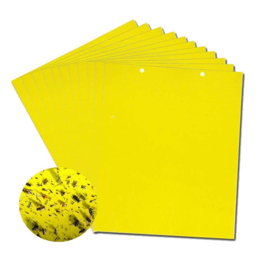 【30%OFF】💥【30 piezas】Tablero adhesivo para insectos de doble cara amarillo, pegatinas para trampas para insectos en huertos agrícolas