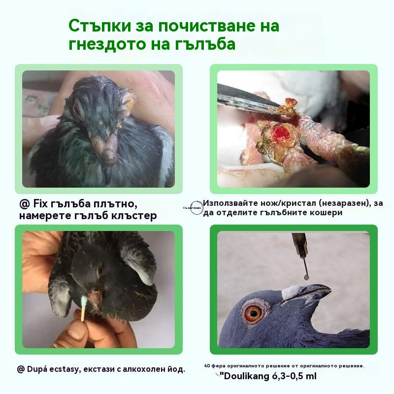 🕊️🕊️Специално лекарство за гнойни инфекции на вируса на шарка на състезателни гълъби, разсейва злото и детоксикира, елиминира акне и разпръсква възли, охлажда кръвта и премахва обриви и облекчава гърлото и отделя гной.