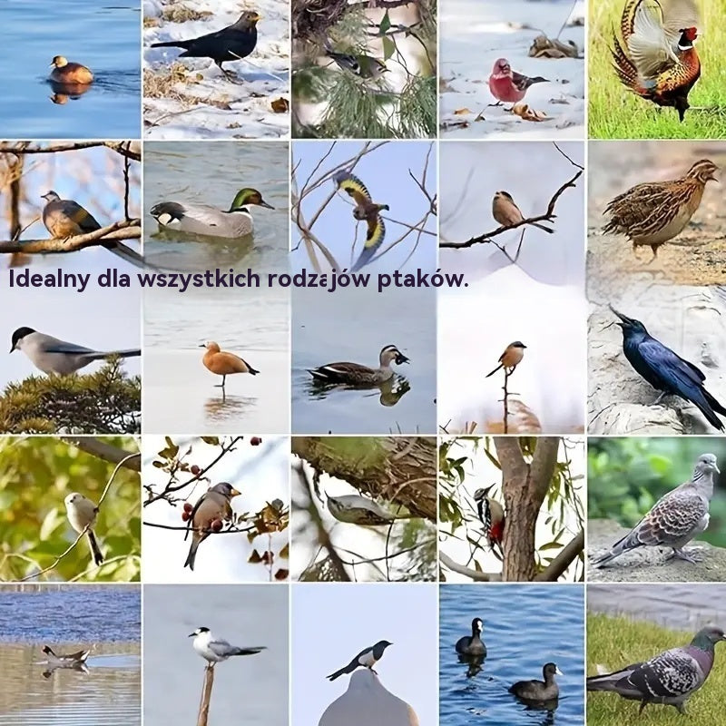 🔥【Kup 2, otrzymaj 2 gratis】🐓🐦Pułapka sprężynowa do użytku na zewnątrz, samoblokująca pułapka o wysokiej czułości.Dzięki funkcji automatycznego odbijania, łatwe łapanie ptaków i drobiu