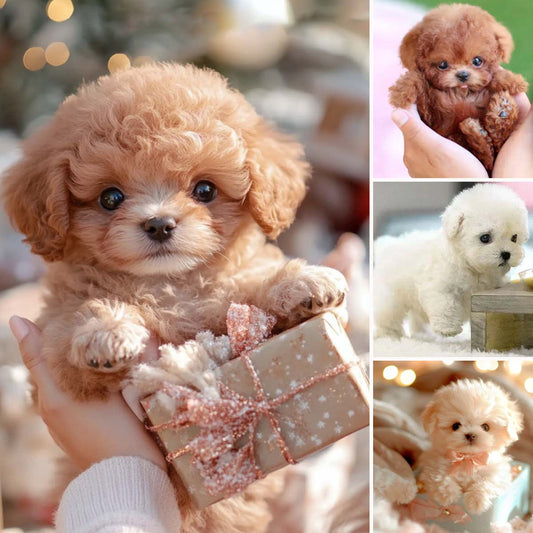 🐶Juguete de peluche de cachorro robot, puede correr, ladrar, asentir, mover la cola, adecuado para bebés