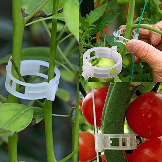🌱【100/200 szt】 Plastikowy uchwyt podtrzymujący rośliny do pomidorów wiszące kratki winorośli łączące rośliny do szklarni dekoracja ogrodu warzywnego