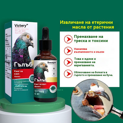 🕊️🕊️Специално лекарство за гнойни инфекции на вируса на шарка на състезателни гълъби, разсейва злото и детоксикира, елиминира акне и разпръсква възли, охлажда кръвта и премахва обриви и облекчава гърлото и отделя гной.