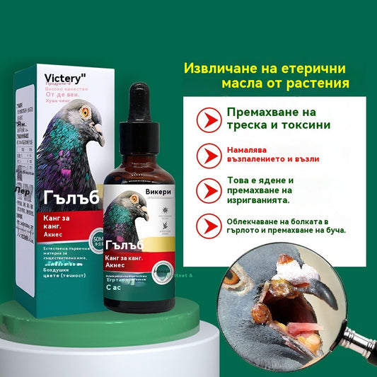 🕊️🕊️Специално лекарство за гнойни инфекции на вируса на шарка на състезателни гълъби, разсейва злото и детоксикира, елиминира акне и разпръсква възли, охлажда кръвта и премахва обриви и облекчава гърлото и отделя гной.