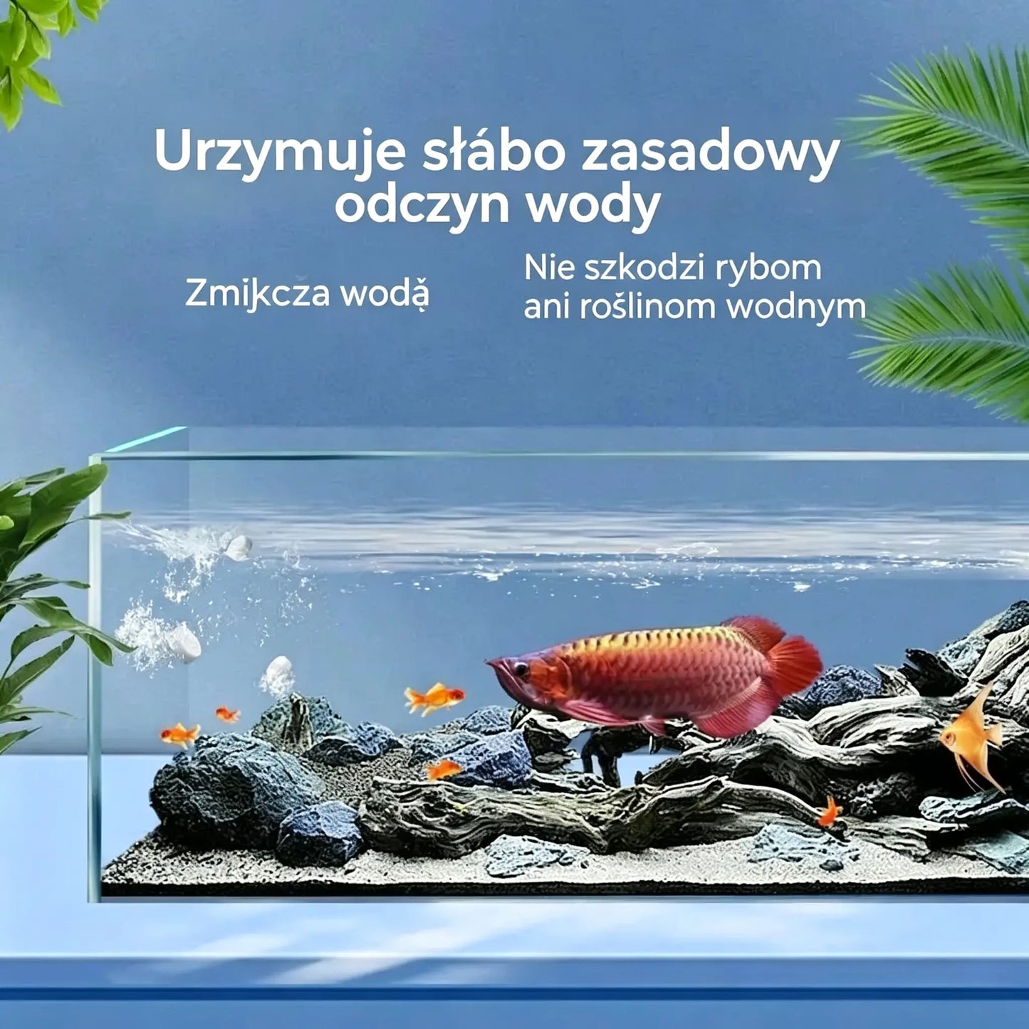 🐟【Kup więcej, zaoszczędź więcej】💧 Tabletki musujące do czyszczenia akwariów i stawów🔥