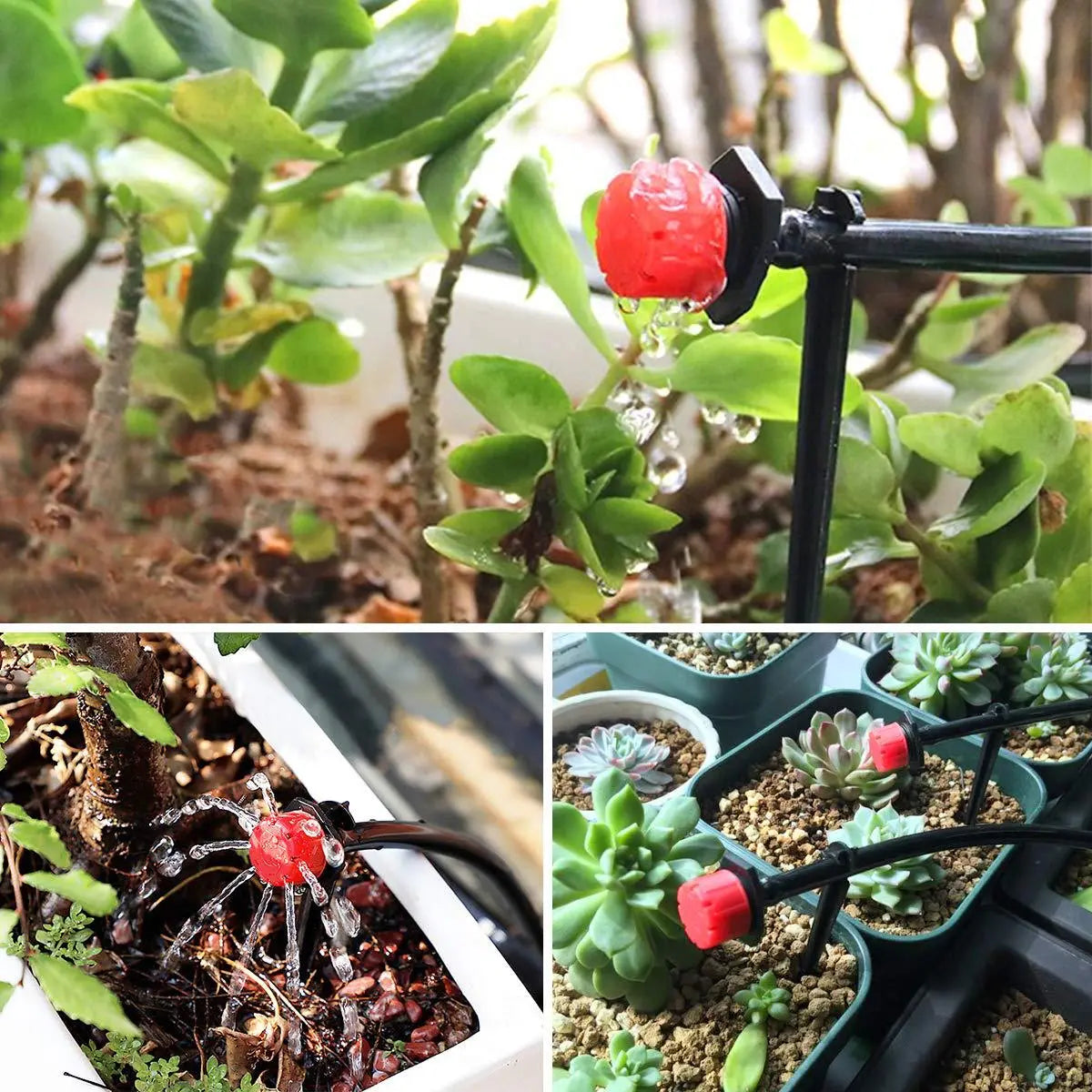 【100 kusov 21 eur】🌱💦Nastaviteľný zavlažovací odkvapkávač