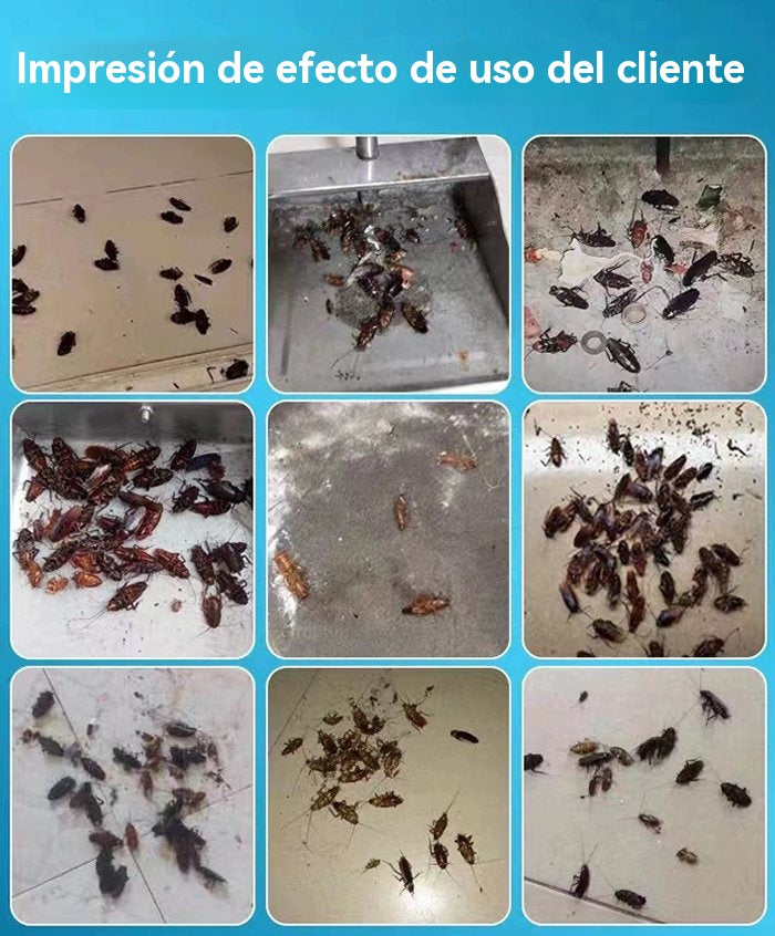 🔥【Compra 3 cajas y llévate 2 gratis.】Parche de cebo de gel fuerte para matar cucarachas.Abre la tapa y úsalo inmediatamente para eliminar nidos de cucarachas.