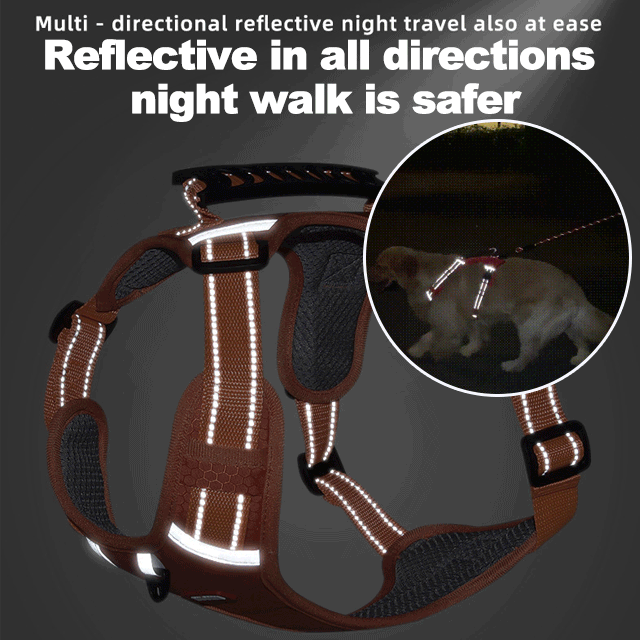 💥【Compra uno y llévate otro gratis, uso alternativo】🔥【5-30 kg】🐶Nueva correa reflectante para mascotas