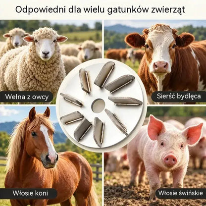 🔧🪚 Tarcza ze stali nierdzewnej do usuwania szczeciny (do szlifierki kątowej) | Tarcza do oczyszczania i obróbki tusz wieprzowych, jagnięcych i cielęcych