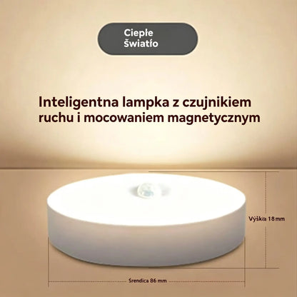 🏡💡【Kup jeden, a dwa dostaniesz gratis】Inteligentna lampa LED do indukcji ludzkiego ciała, wygodna i praktyczna z możliwością ładowania
