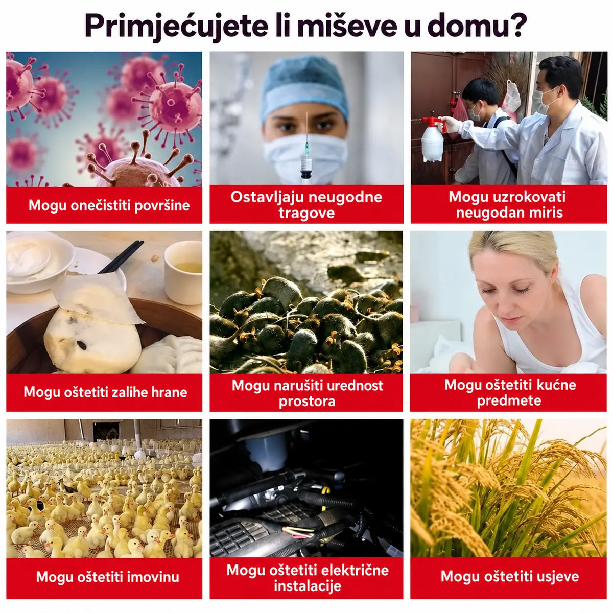 💥 Paket od 5 komada — snažna ljepljiva podloga za miševe (120x27 cm) bez otrova i sigurna za cijeli dom.