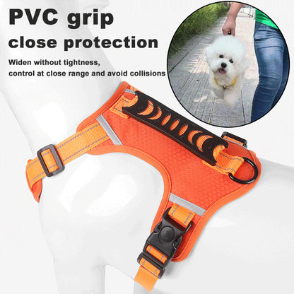 💥【Compra uno y llévate otro gratis, uso alternativo】🔥【5-30 kg】🐶Nueva correa reflectante para mascotas
