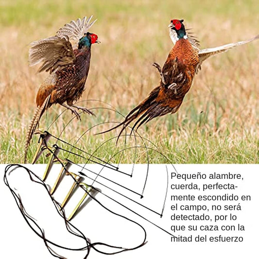🦆🐓【Compra 3 y llévate 2 gratis】 Jaula para pájaros de tamaño mediano, adecuada para gallinas, faisanes, patos salvajes, perdices y patos.