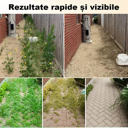 Potente herbicida 2 en 1 ☘¡Especialmente diseñado para combatir las malezas resistentes al glifosato, actúa en 6 horas, mientras destruye la síntesis de proteínas y pigmentos en las malezas!