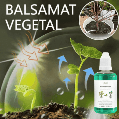 💥【Kúpte 3 a získajte 3 zadarmo】🌱🌱 Živný roztok, ktorý podporuje rast rastlín