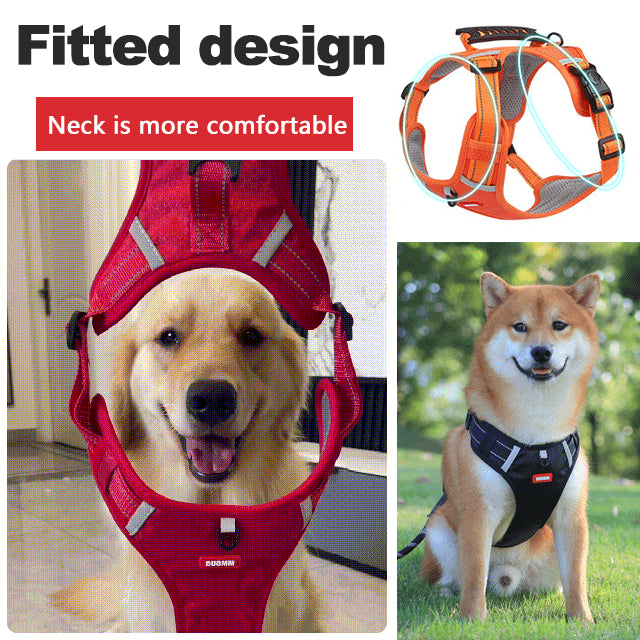 💥【Compra uno y llévate otro gratis, uso alternativo】🔥【5-30 kg】🐶Nueva correa reflectante para mascotas